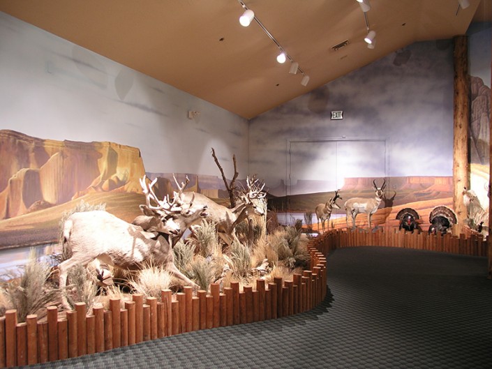 Wildlife Museum in Zion